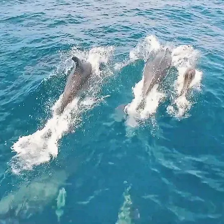 Villa Copacabana By Algarve Vacation Armação de Pêra