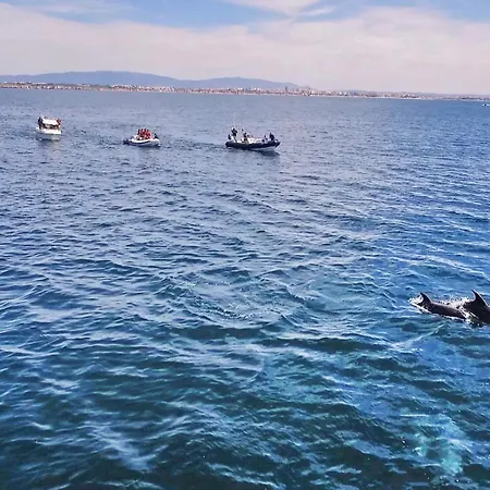 Copacabana By Algarve Vacation * Armação de Pêra